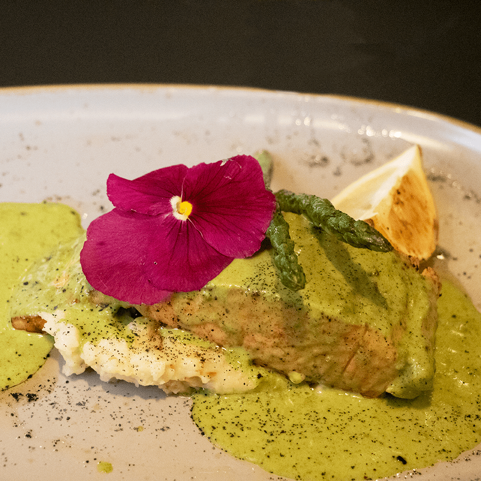 platillo salmón en salsa de cilantro